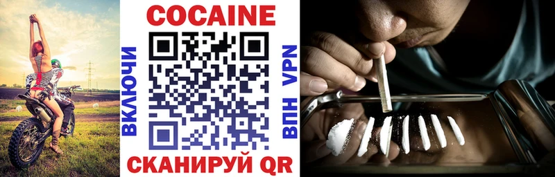 Cocaine Fish Scale  hydra зеркало  Кольчугино 