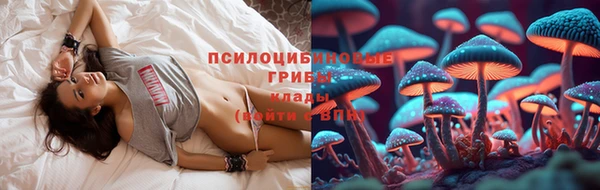 гидропоника Баксан