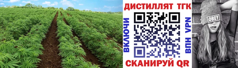 ТГК гашишное масло мориарти Telegram Кольчугино МЕГА ссылка