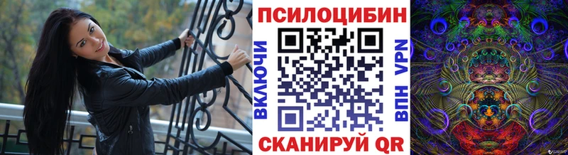 Псилоцибиновые грибы мицелий  купить   Кольчугино 
